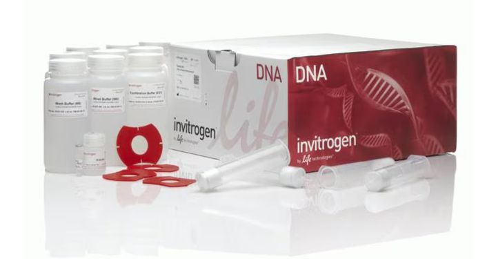 PureLink™ HiPure Plasmid Midiprep Kit - K210004 - 25 preps