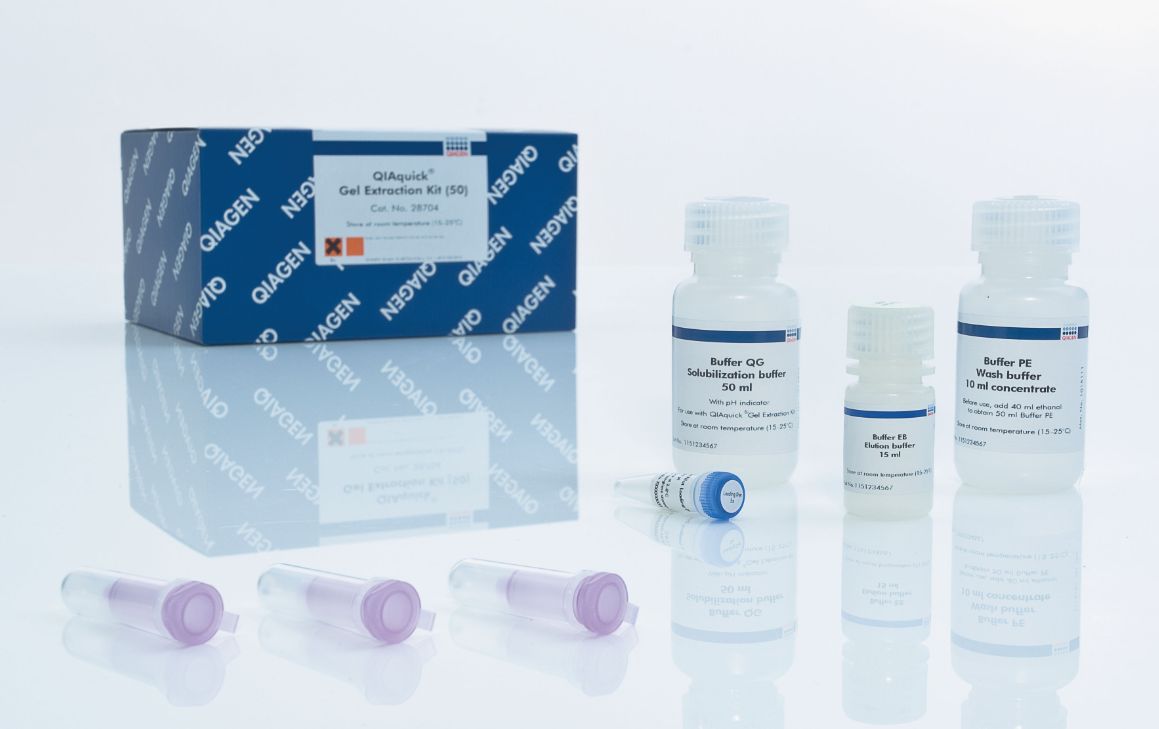 QIAquick Gel Extraction Kit