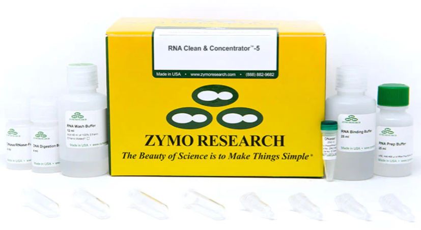 RNA Clean &amp; Concentrator-5 (DNase Included) / 50 Preps - R1013