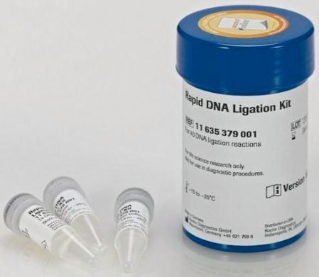 Rapid DNA Ligation Kit - 11635379001 - 1KIT
