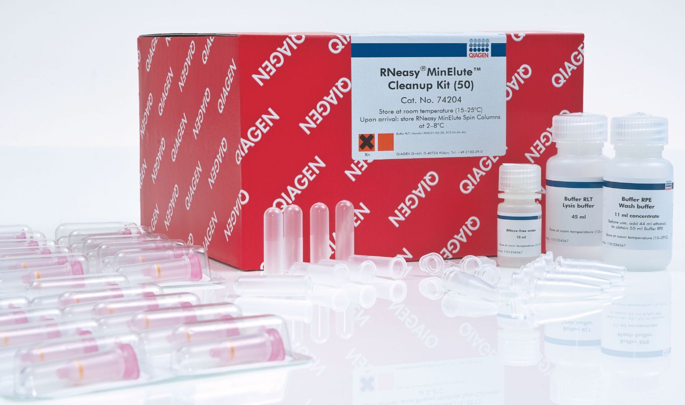 RNeasy MinElute Cleanup Kit - 50