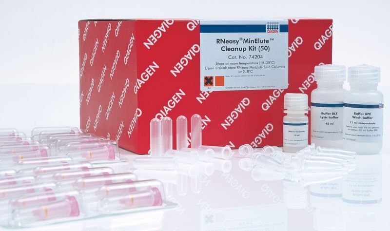RNeasy MinElute Cleanup Kit - 50