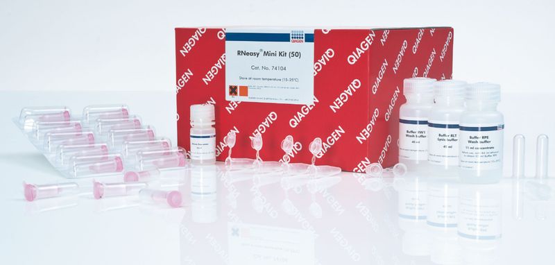 RNeasy Mini RED BOX (50) Kit