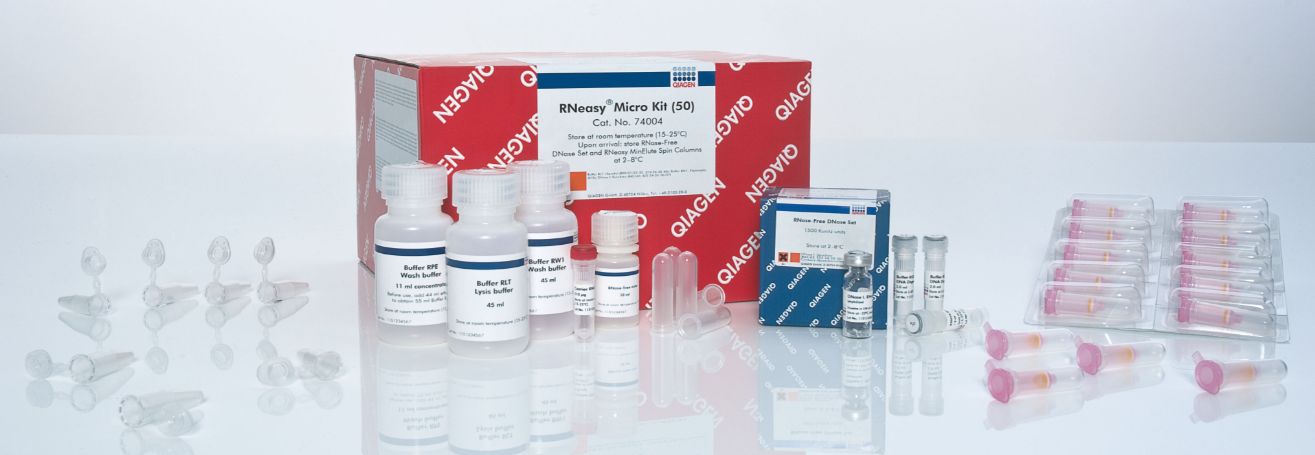 RNeasy Micro Kit (50) - 74004
