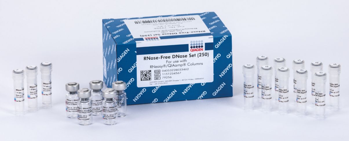 RNase-Free DNase Set (250) - 79256