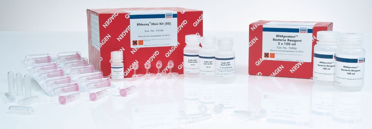 RNeasy Protect Bacteria Mini Kit (50) - 74524