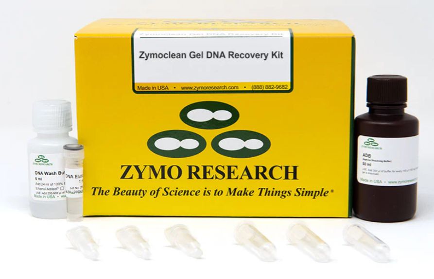 Zymoclean Gel DNA Recovery Kit (capped) / 50 Preps - D4007