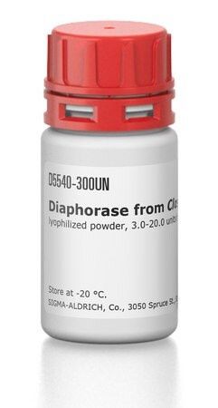 Diaphorase from Clostridium kluyveri