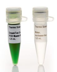 DreamTaq Green PCR Master Mix (2X) - 200 reactions - K1081