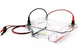 Wide Mini ReadySub-Cell GT Horizontal Electrophoresis System, for precast gels - 1704489