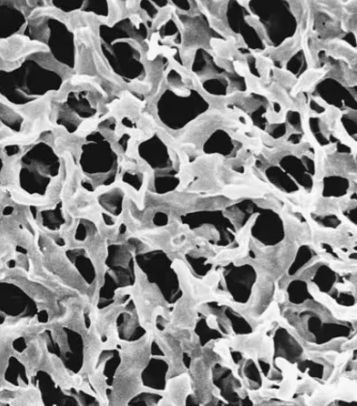 Durapore® Membrane Filter, 0.22 µm - GVWP04700 - 100 filters