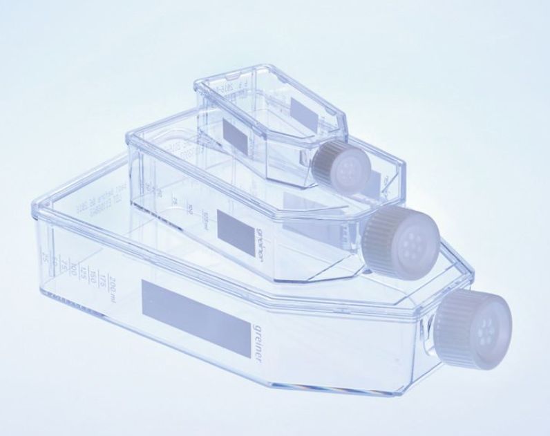 CELLSTAR© Suspension Culture Flasks, Screw Cap, Hydrophobic Surface, Sterile, Greiner Bio-One CONS5428