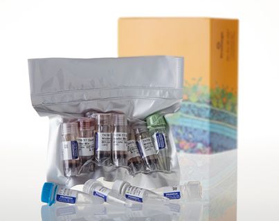 Promega TNT™ Quick Coupled Transcription/Translation System - L1170