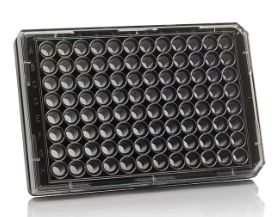 96 Well Black/Clear Bottom Plate, TC Surface - Case of 30 - 165305