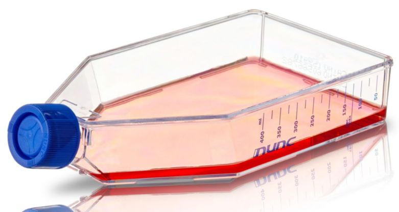Tissue Culture Flask (T-Flask) 25cm^2 / CASE OF 200