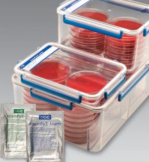 Thermo Scientific™ AnaeroPack™ 7.0L Rectangular Jar - 23-246-387