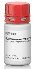 Hexokinase from Saccharomyces cerevisiae- H4502-2.5ku