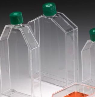 T225 Flasks - CYTOONE FLASKS, FILTER CAP - 25 CS - CC7682-4822