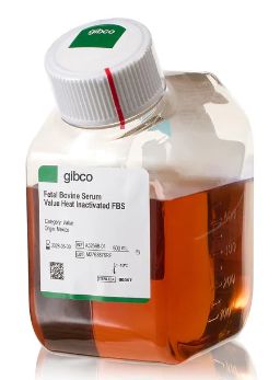 Gibco™ Fetal Bovine Serum, value, heat inactivated (formerly USDA-approved in North America or qualified, Brazil in other regions) - 500mL - A5256801