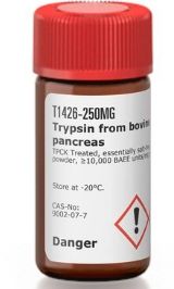 Trypsin from bovine pancreas TPCK Treated, essentially salt-free, lyophilized powder, ≥10,000 BAEE units/mg protein - 250mg - T1426-250MG