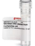 Microbial DNA standard from Escherichia coli - 0.3ug - MBD0013-0.3UG