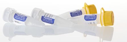 PCR Master Mix