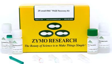 ZR small-RNA PAGE Recovery Kit - 20 preps - R1070