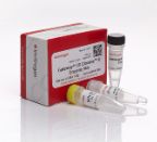 Gateway™ LR Clonase™ II Enzyme mix - 100rxns - 11791100
