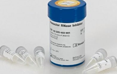 Protector RNase Inhibitor - 2000units - RNAINH-RO-3335399001