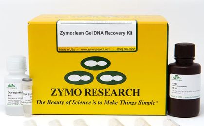 Zymoclean Gel DNA Recovery Kit (capped) / 200 Preps - D4008