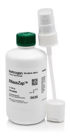 RNaseZap™ RNase Decontamination Solution -  250ml - AM9780