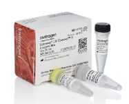 Gateway™ LR Clonase™ II Enzyme mix -20 reactions - 11791020