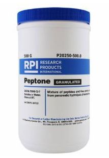 Peptone, Granulated - 500g - P20250-500.0/76347-600