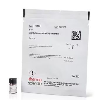 BS3 (bis(sulfosuccinimidyl)suberate) - 50mg -  21580
