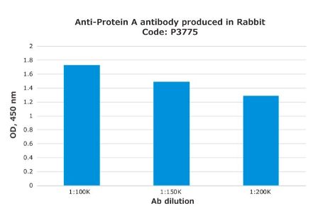 Anti-Protein A antibody produced in rabbit fractionated antiserum, lyophilized powder - 1 vial - P3775-1VL
