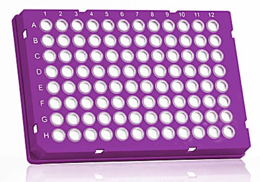 FrameStar 96-well skirted PCR plates