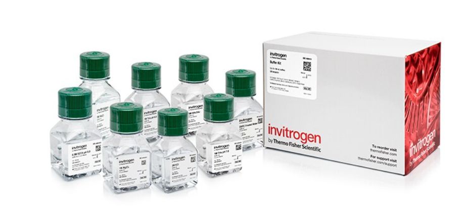 Invitrogen™ Buffer Kit, RNase-free Catalog number: AM9010