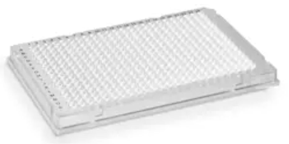 Hard-Shell® 384-Well PCR Plates, thin wall, skirted, clear/clear HSP3801