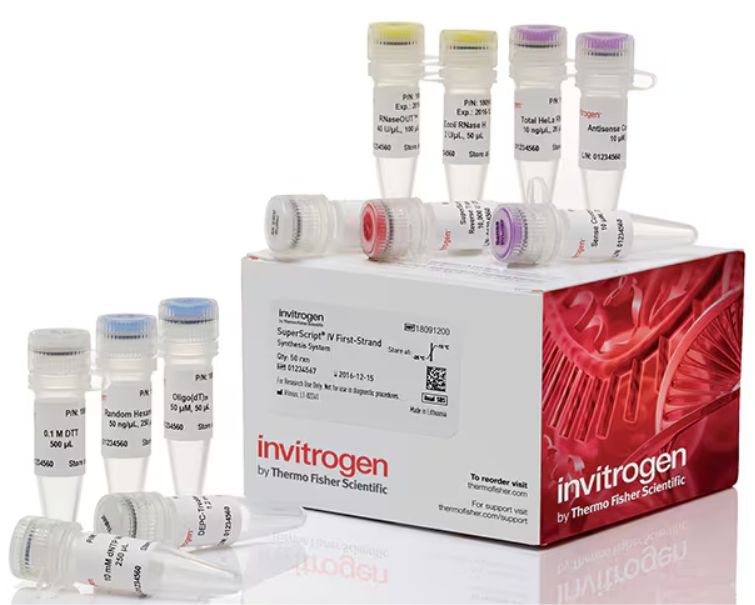 Invitrogen™ SuperScript™ IV First-Strand Synthesis System Catalog number: 18091050