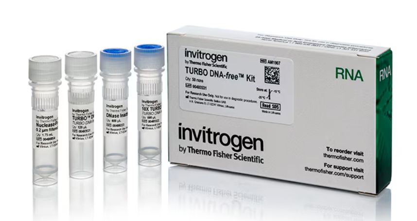 Invitrogen™ TURBO DNA-free™ Kit Catalog number: AM1907