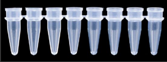 PCR 8 strip tubes with caps - 12000-206
