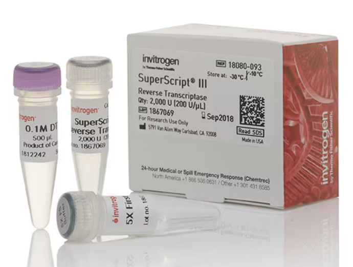 Superscript III Reverse Transcriptase 2,000u
