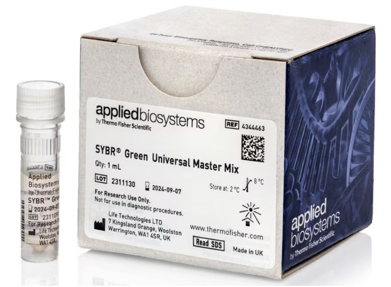 Sybr Green Master Mix 1 x 1 ml