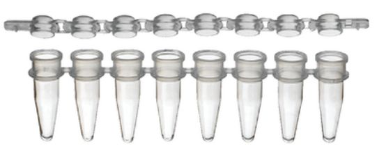 8Well Tube Strips, strips Individually Attached Flat caps - 120pk