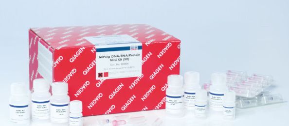 AllPrep DNA/RNA/Protein Mini Kit - 50 preps - 80004