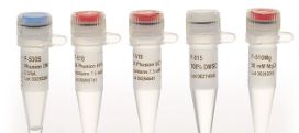 Phusion™ High-Fidelity DNA Polymerase (2 U/µL) - 100units - F530S