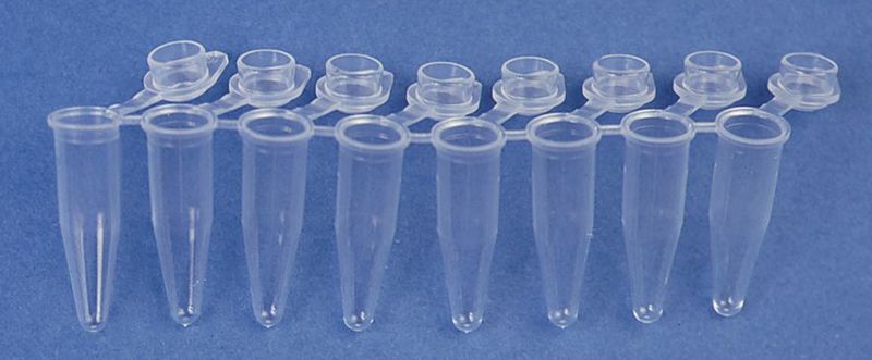 CONS5472 GeneMate SnapStrip® PCR Tubes with Individual Attached Dome Caps, 8-Strip 0.2 ml, Scientific Specialties CASE of 1200