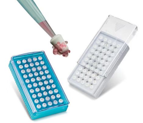 Flowmi® Cell Strainers - porosity 70 μm, for 1000 uL Pipette Tips, pack of 50 ea