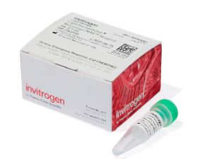 Invitrogen™ Lipofectamine™ MessengerMAX™ Transfection Reagent - 0.1mL - LMRNA001