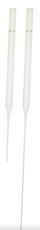 5.75&quot; Pasteur Pipette 200 pk